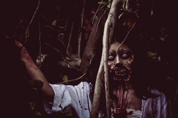 Portrait of asian woman make up ghost face with blood,Horror scene,Scary background,Halloween...