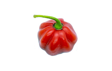 Red pepper isolated on white background