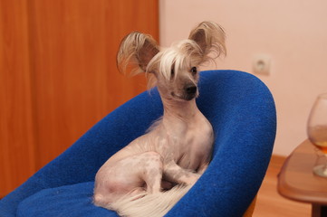 SONY DSC