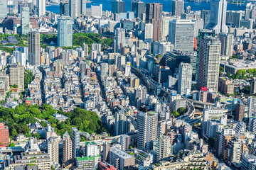 Fototapeta na wymiar 東京の風景 Tokyo city , Japan.