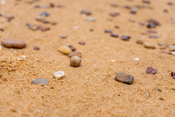 Fototapeta na wymiar Rocks and shells on the beach copyspace