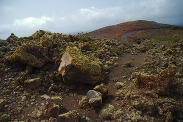 Obraz premium Lanzarote