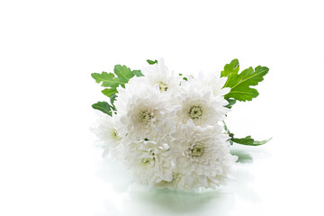 bouquet of white chrysanthemums isolated on a white