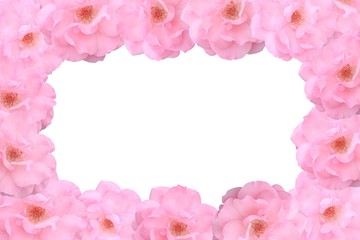 floral background with rose frame