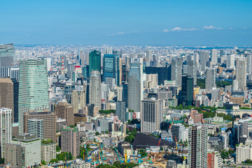 Fototapeta na wymiar 東京の風景 Tokyo city skyline , Japan.