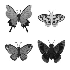 Vector illustration of fly and insect sign. Set of fly and botanic stock vector illustration.