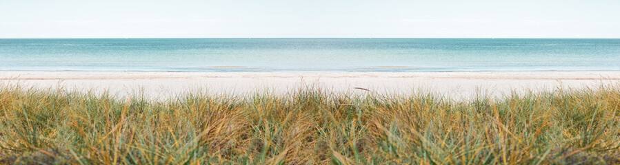 a large panoramic photo of a beach at the sea in beautiful weather and in the foreground is dune grass