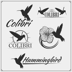 Hummingbird colibri bird silhouettes, logos, emblems and design elements. 