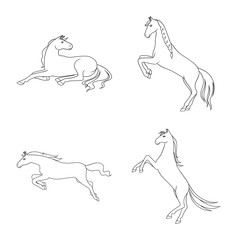 Isolated object of stallion and galloping symbol. Collection of stallion and riding stock vector illustration.