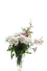 beautiful pink lisianthus flowers isolated on white