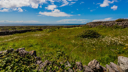 Fototapeta na wymiar Landscape of the Irish countryside with green vegetation on the island of Inis Oirr with the Atlantic Ocean in the background, sunny day in Inisheer, island in the west of the coast of Ireland