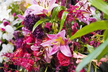 蘭やユリなどの美しい花たち