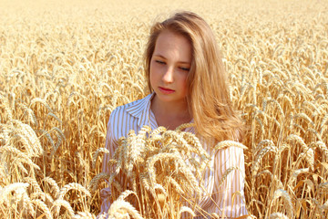 Portrait of a pretty woman sitting in a summer wheat field and looking down. People, nature, freedom and travel concept.