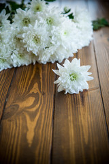 Fototapeta na wymiar bouquet of white chrysanthemums on wooden table