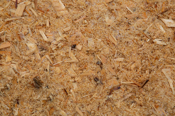 Sawdust. The second raw material after wood.