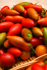 Mix tomatoes in summer day. Composition of variety fresh tomatoes.