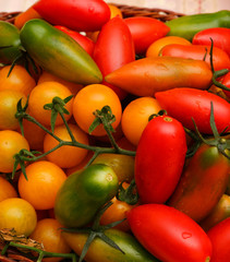 Mix tomatoes in summer day. Composition of variety fresh tomatoes.