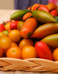 Mix tomatoes in summer day. Composition of variety fresh tomatoes.