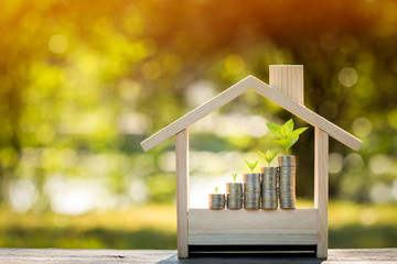 Stacked gold coins and plant growing on the top put in the wooden home model on the wood on bokeh...