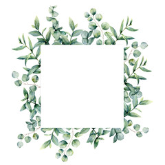 Watercolor eucaliptus leaves frame. Hand painted baby, seeded and silver dollar eucalyptus branch isolated on white background. Floral illustration for design, print, fabric or background.
