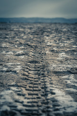 tracks in the sand
