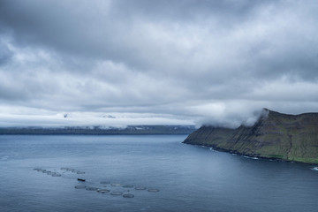 Dramatic landscape of Faroe Islands with grass meadows and rocky cliffs in stormy weather.
