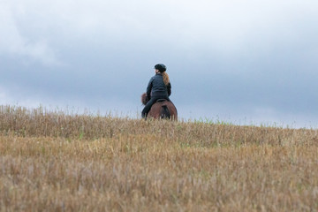 Naklejka na ściany i meble Icelandic horse riding