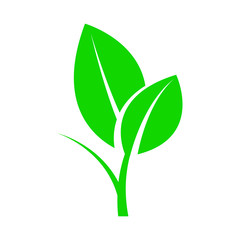 Sprout with leaves. Symbol of an environmentally friendly or rapidly degradable product that does not harm the environment. Vector illustration