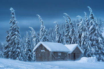 Wooden houses in a forest covered with fresh snow