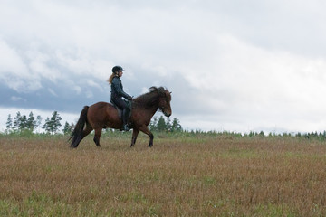 Icelandic horse riding