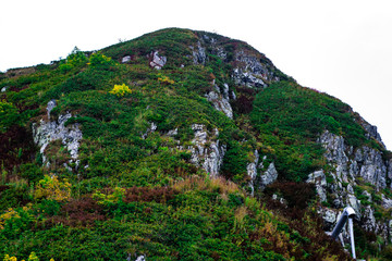 Mountains covered with green trees overlooking the sea and sky © Andrey