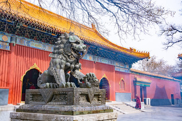 Bronze Chinese Guardian Lion statue in Yonghegong Temple (Lama Temple) in Beijing, China