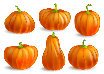 Set of orange ripe pumpkins of different shapes. Halloween symbol. Vector illustration.