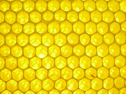 Created with wax honeycombs have same dimensions and a strong focus