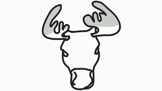 deer reindeer hand drawn animation line sketch with transparent background