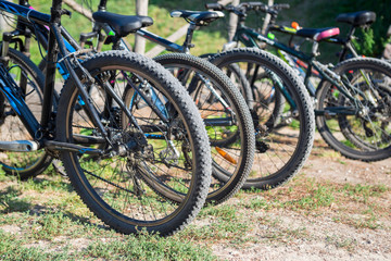 Fototapeta na wymiar Variety of bicycles offered for rent are in the parking lot. View on the wheels of bicycles in row. Bicycles stand in a row on a parking for rent