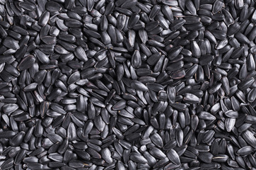 Black sunflower seeds