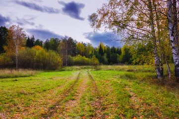 Naklejka premium Rural landscape mown meadow against the background of the forest on the horizon. Early autumn.