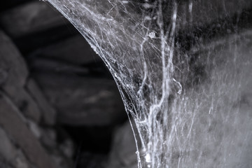 Cobweb or spider web in ancient house