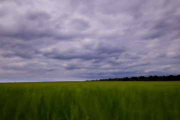 long exposure of a field