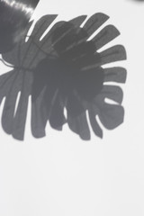 Abstract background of palm leaves shadows on white wall. Botany mockup copy space.