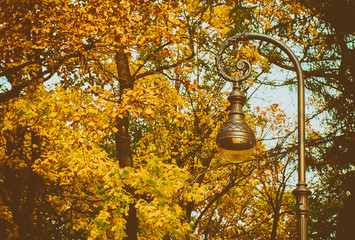 Beautiful street lamp on background of autumn leaves
