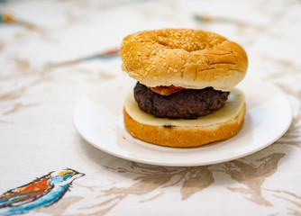 Home made hamburger on a white plate