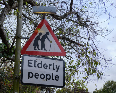 Street sign Elderly People crossing with damage surrounded by branches with almost no leaves on a grey day