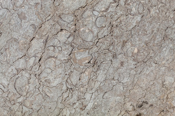 Weathered Grayish Cracked Marble Texture