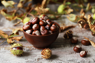 Chestnuts in a bowl. Chestnut leaves. Autumn composition with chestnuts.