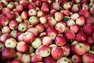 red apples in the market