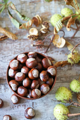 Chestnuts in a bowl. Chestnut leaves. Autumn composition with chestnuts.