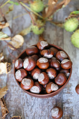 Chestnuts in a bowl. Chestnut leaves. Autumn composition with chestnuts.