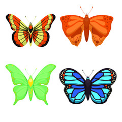 Fototapeta na wymiar Butterfly vector design illustration isolated on white background
